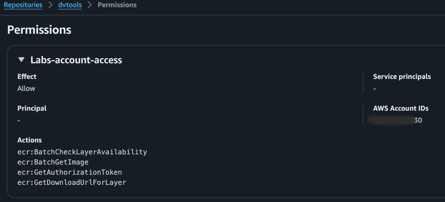 ECR permission summary